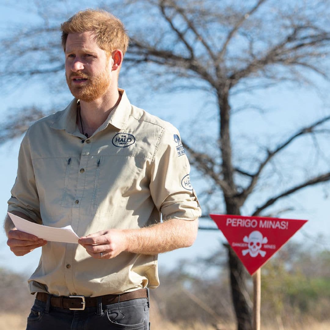 El príncipe Harry elogia a una de las causas que más interesaban a su madre