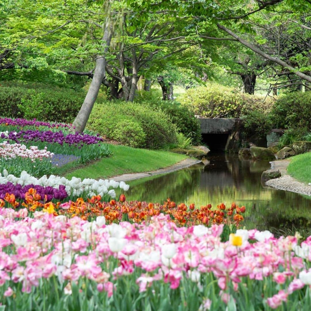 Así se diseña un jardín con flores sin aumentar el tiempo en el cuidado de las plantas