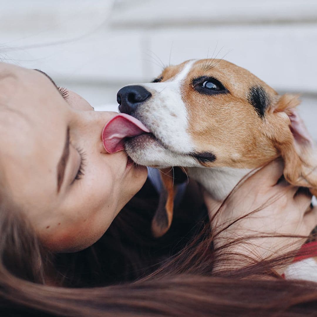 ¿Tu perro trata de lamerte la boca? Este es su significado