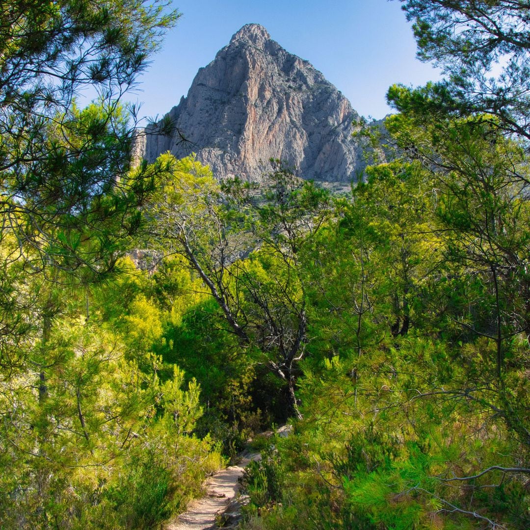 Montaña Puig Campana, Alicante