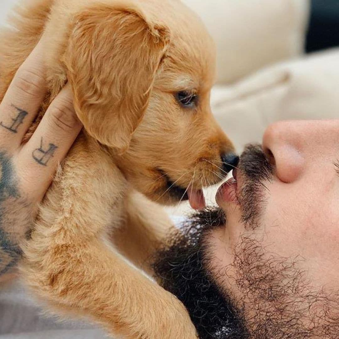 ¡Lo más tierno que verás! J Balvin derrite las redes con su perrita