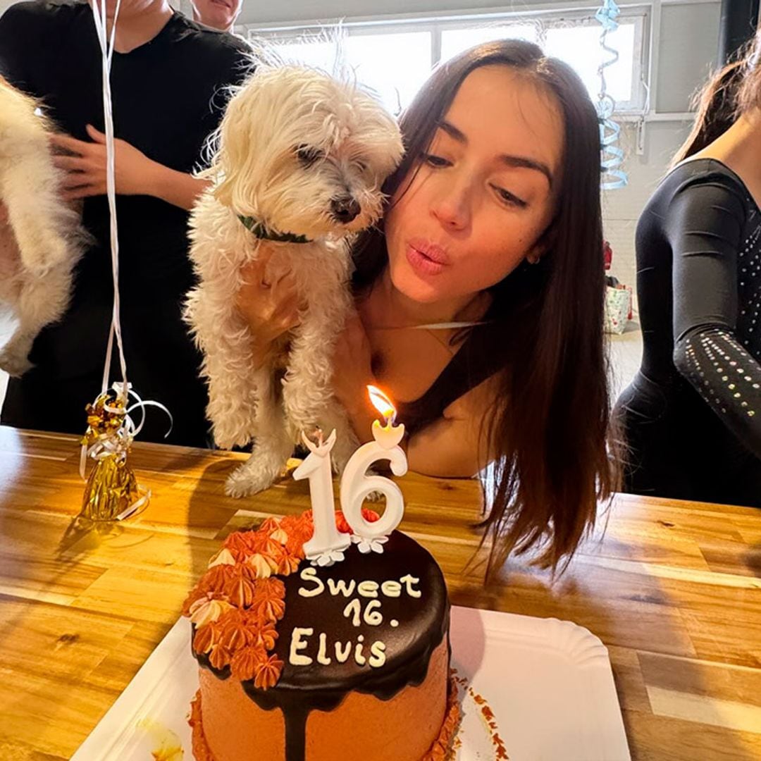 No te pierdas el divertido cumpleaños que Ana de Armas le ha preparado a su perro durante el rodaje de 'Ballerina'