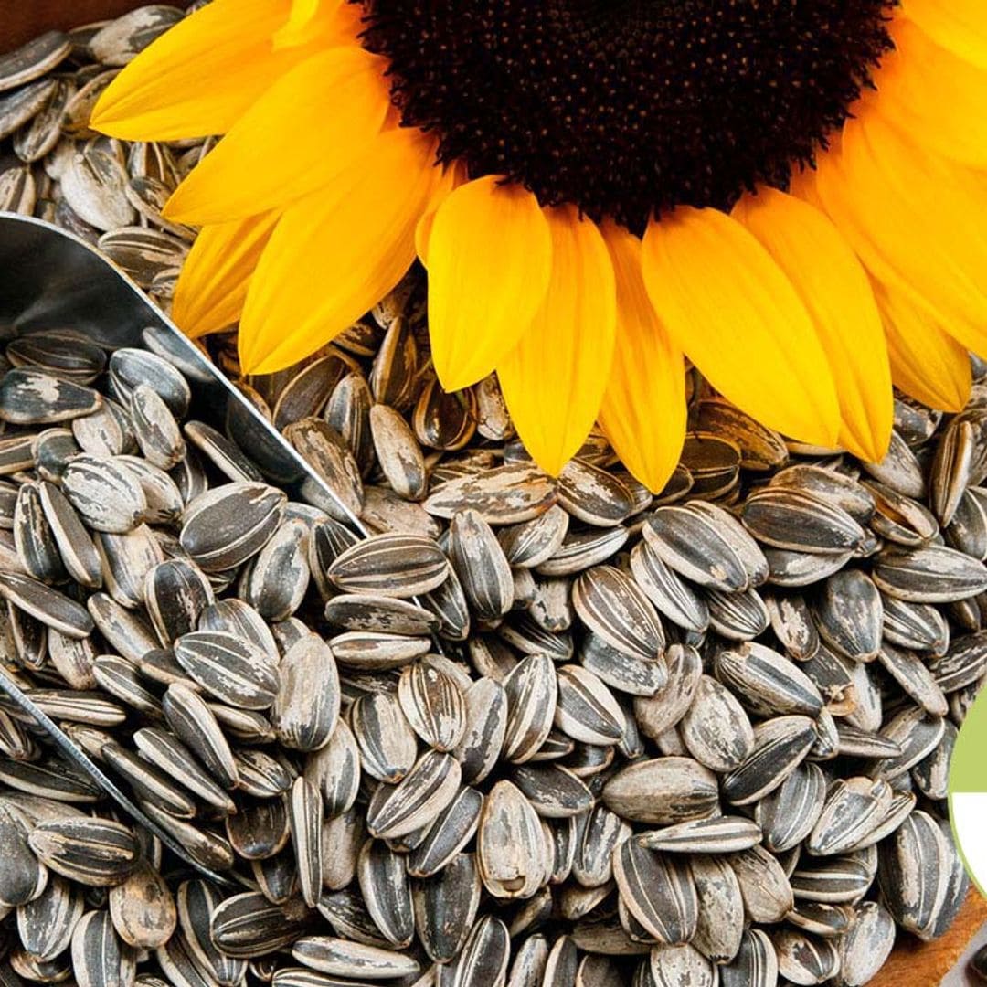 Si te gustan las pipas de girasol, ¿por qué no las incorporas a tu dieta?