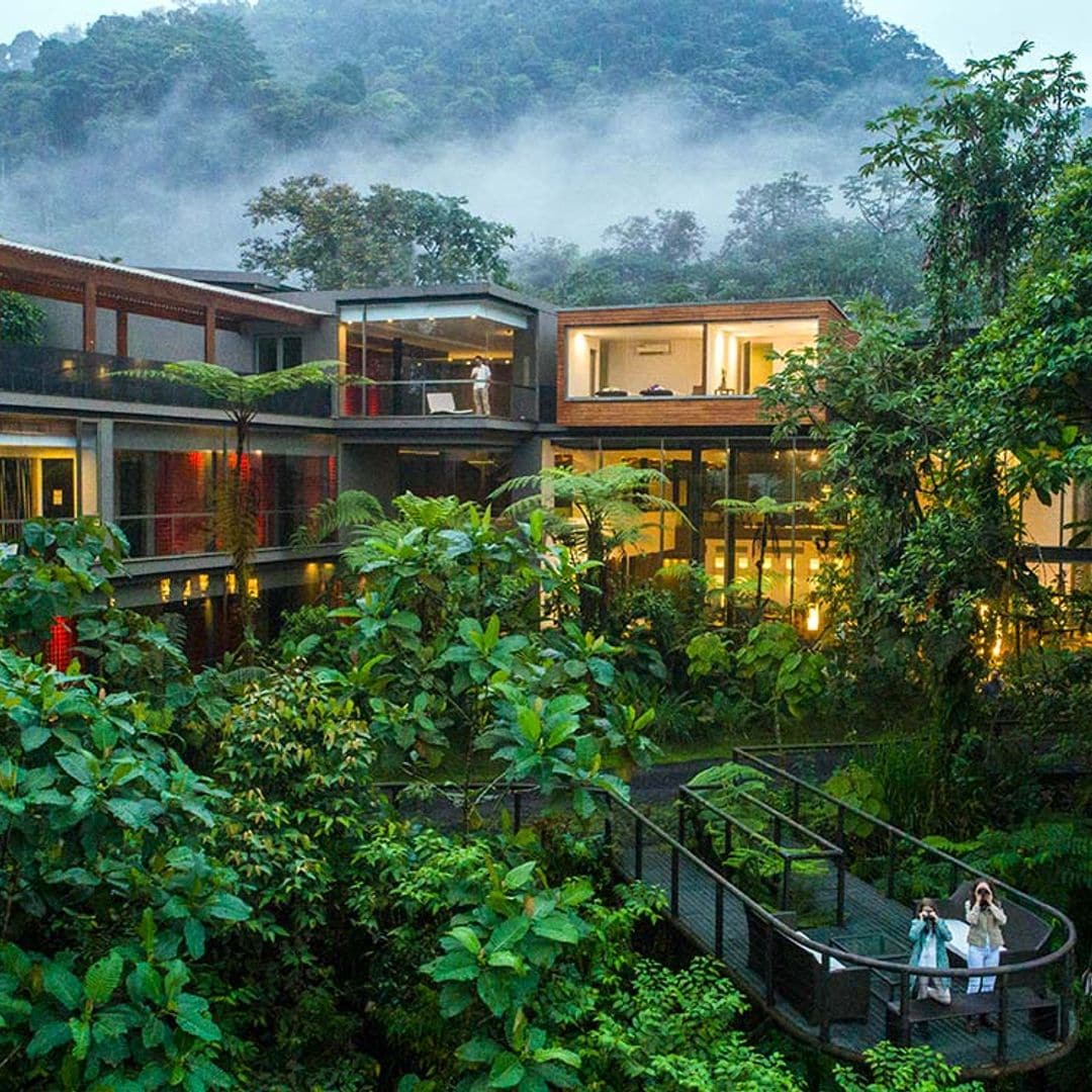 Un ecolodge sobre las nubes en un bosque tropical