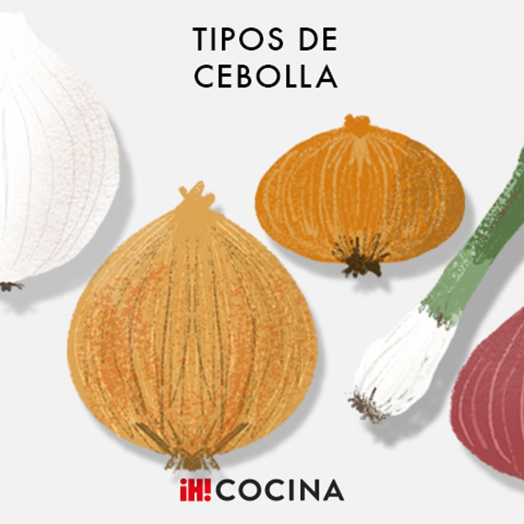 Conoce los tipos de cebolla y su uso en la cocina