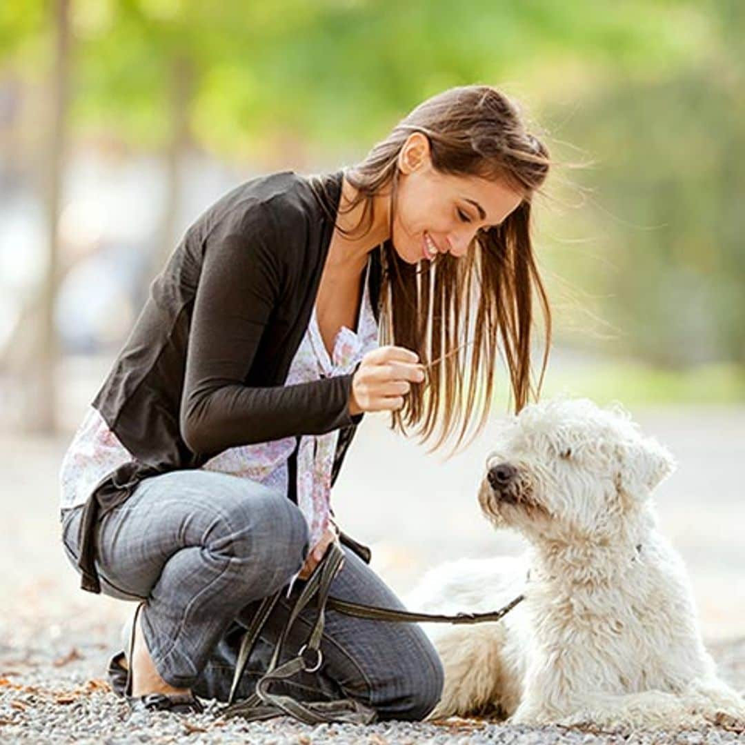 ¿Por qué si tienes una mascota en casa irás menos al médico?