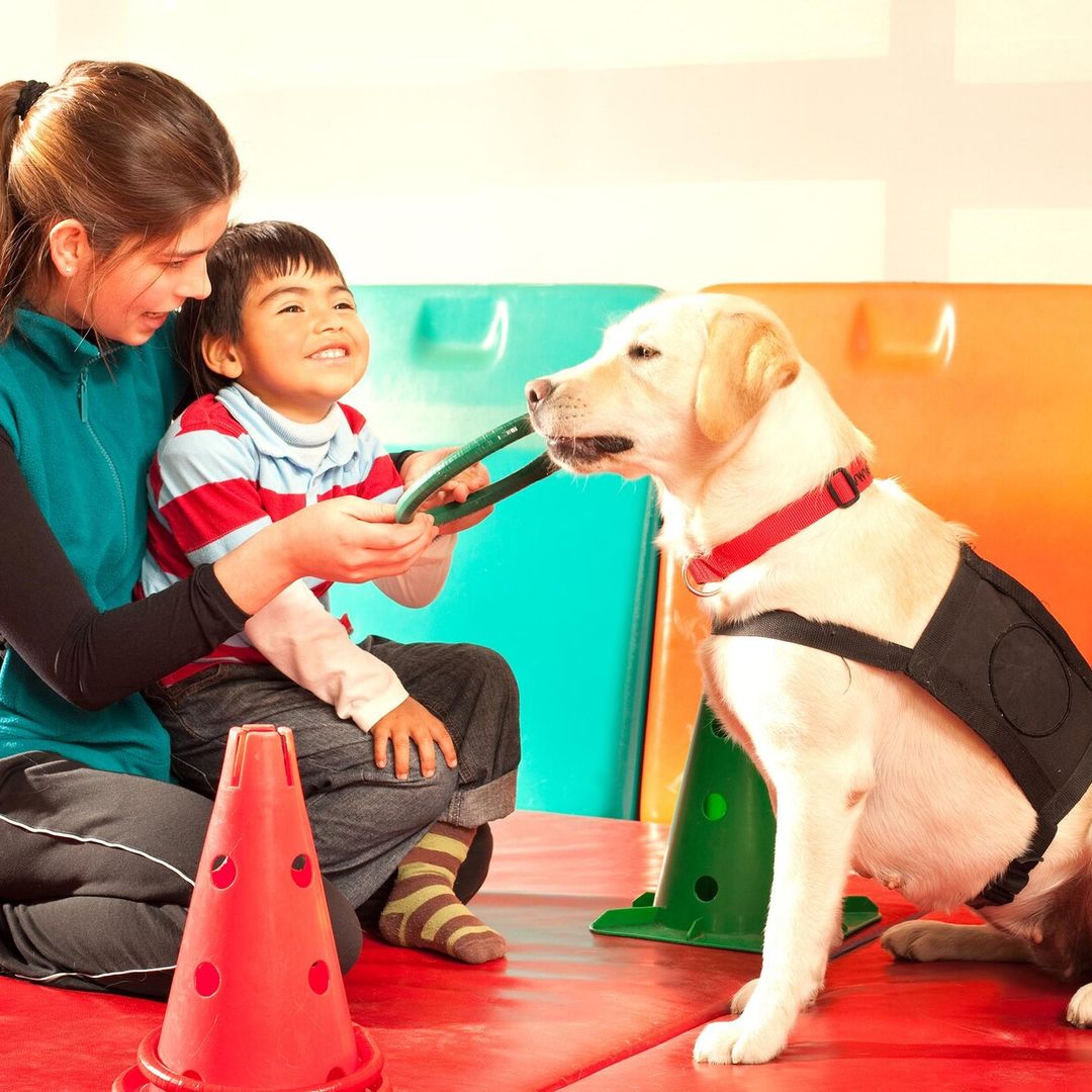 Terapia con perros, una poderosa herramienta que les ayuda a canalizar emociones y a socializar