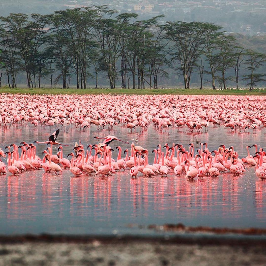 maravillas naturales de africa para unavez en la vida