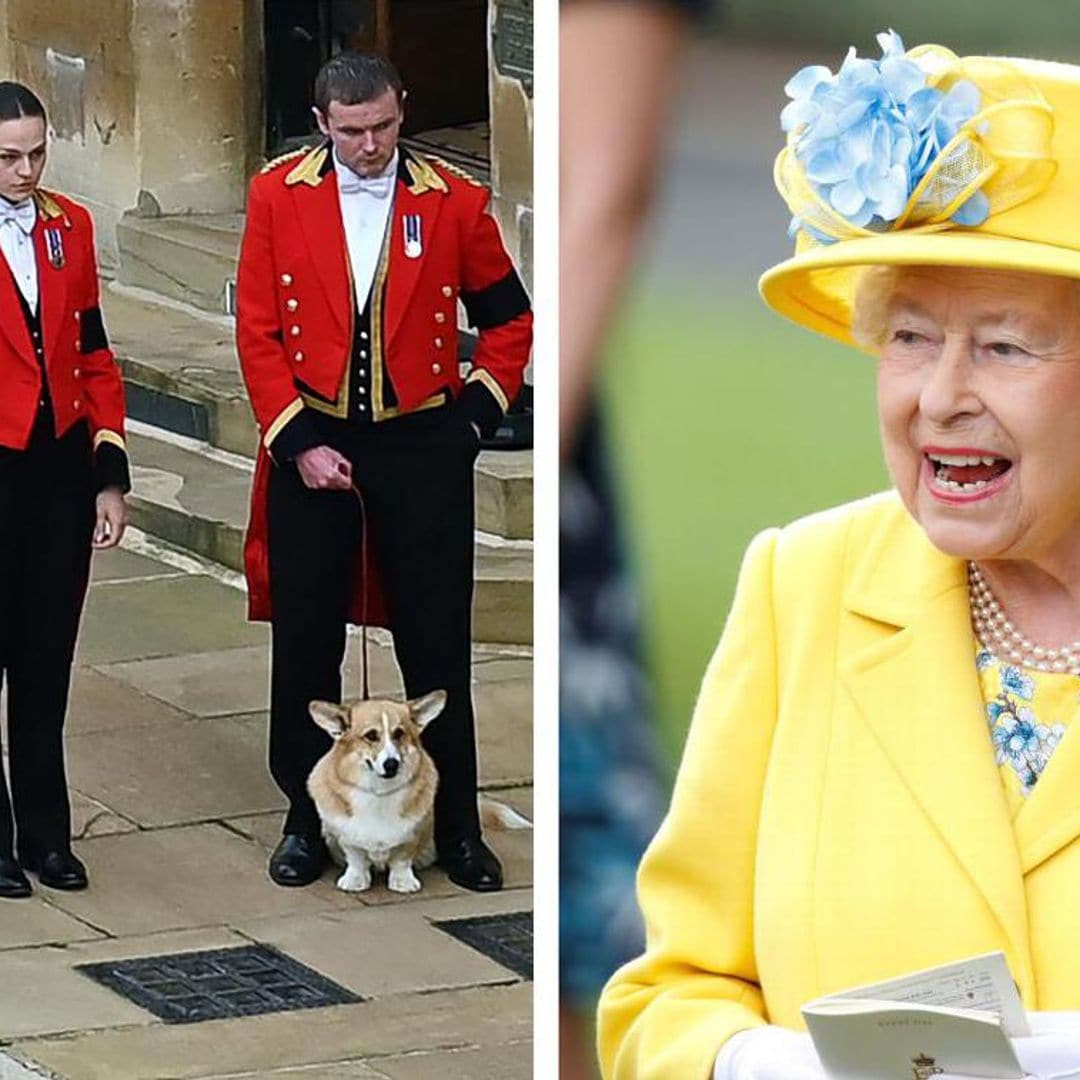 Sarah Ferguson comparte cómo se encuentran los corgis de la reina Isabel II en su nuevo hogar