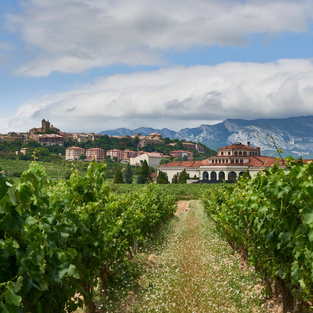 Paisaje de Laguardia, Rioja Alavesa, Álava