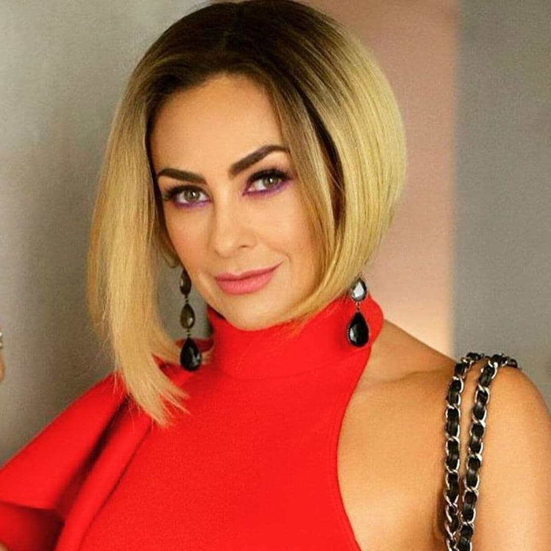 Araceli Arámbula reacciona a las declaraciones de Arturo Carmona sobre su romance