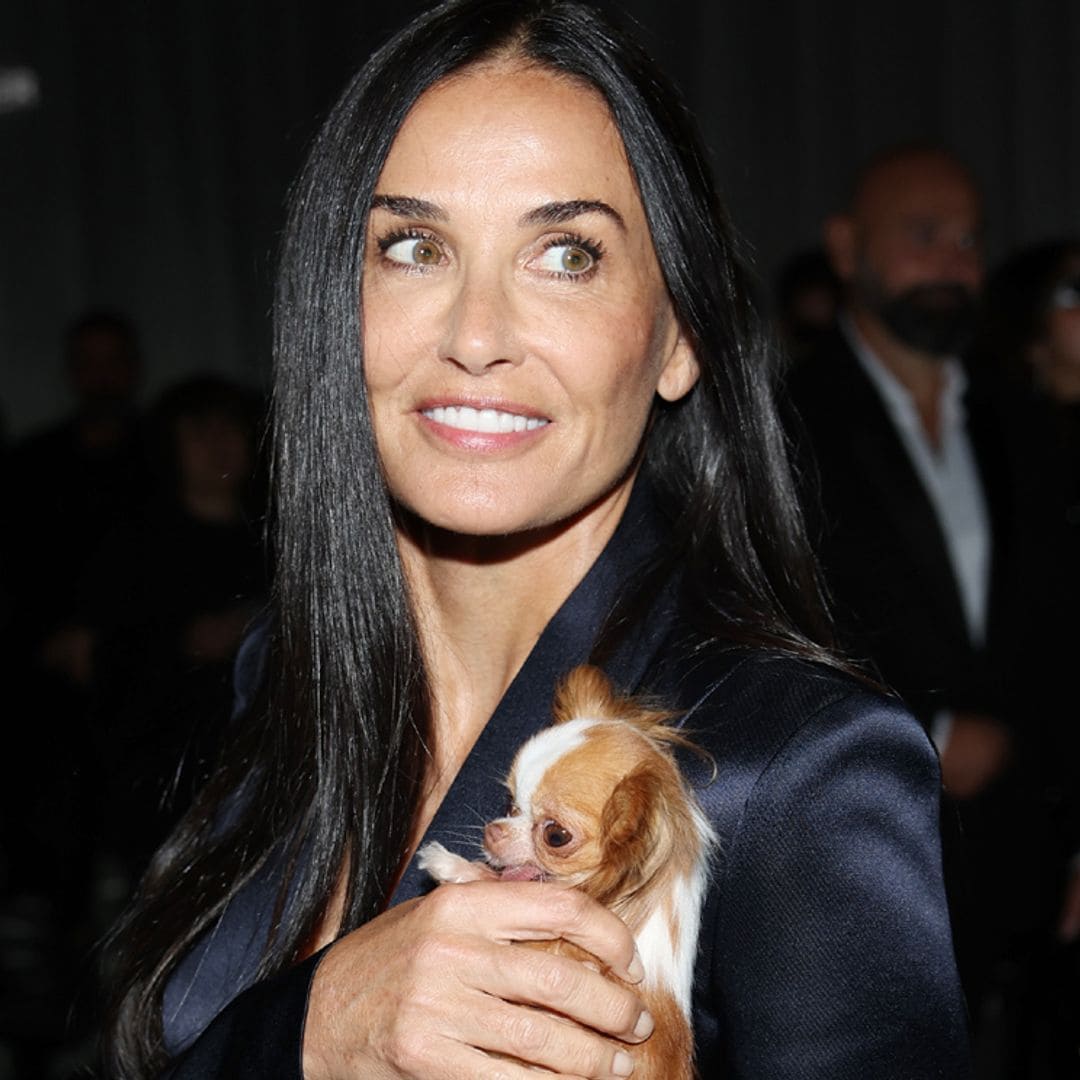 Las 'aventuras' de Demi Moore y su perro Pilaf: del 'photocall' al concierto de Madonna