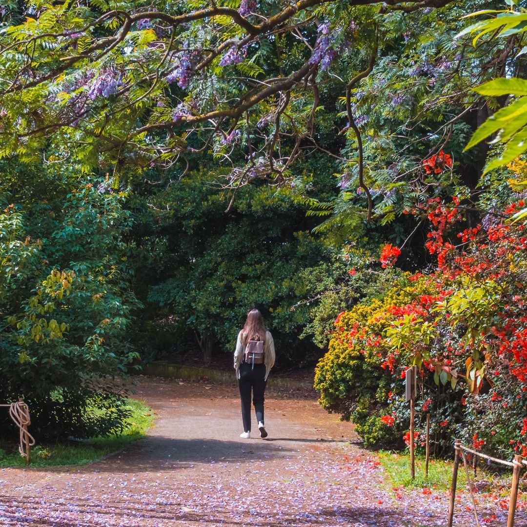 Jardín Botánico de Oporto