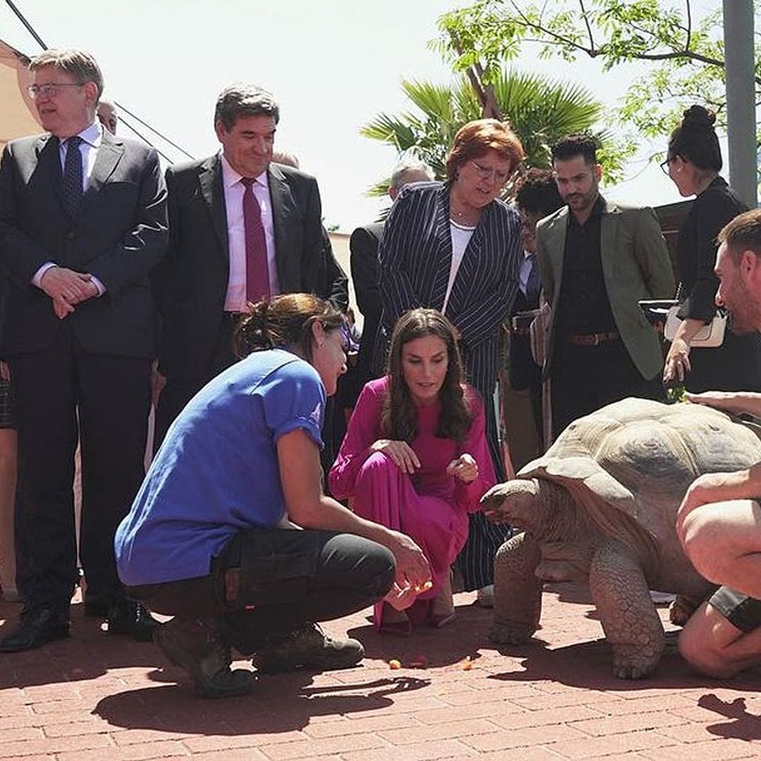 Los planes alternativos de la Reina en su visita a Valencia: su encuentro con Darwin y las falleras mayores