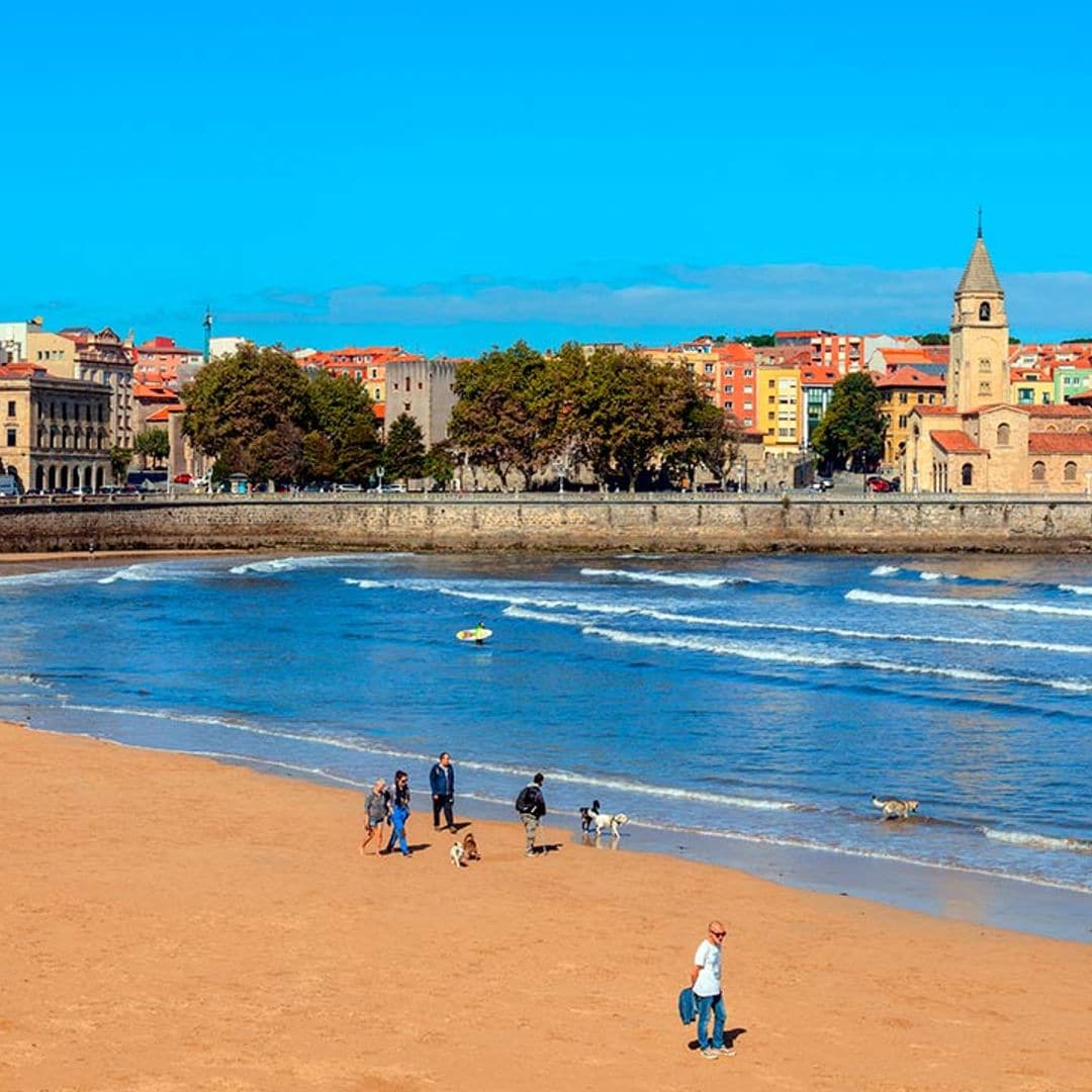 ¿Viajas con tu perro? Gijón es una de las mejores ciudades para ir con tu mascota