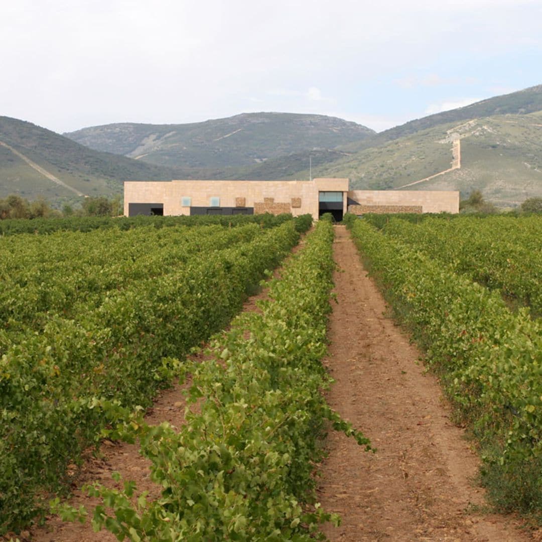 Vallegarcía: 20 años de una bodega emblemática