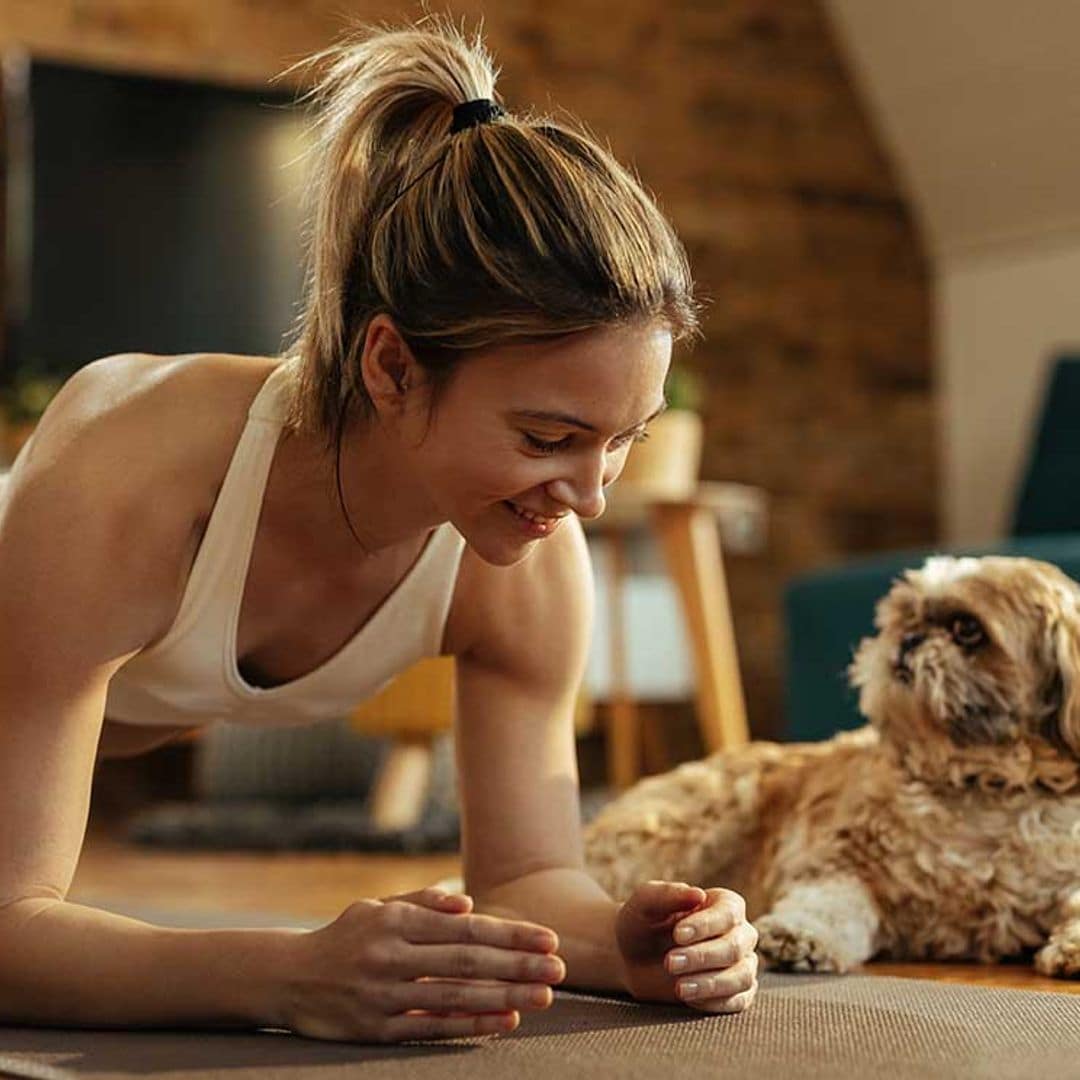 Aprovecha la cuarentena para entrenar con tu mascota