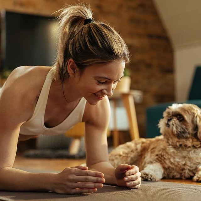 entrenamiento mascota