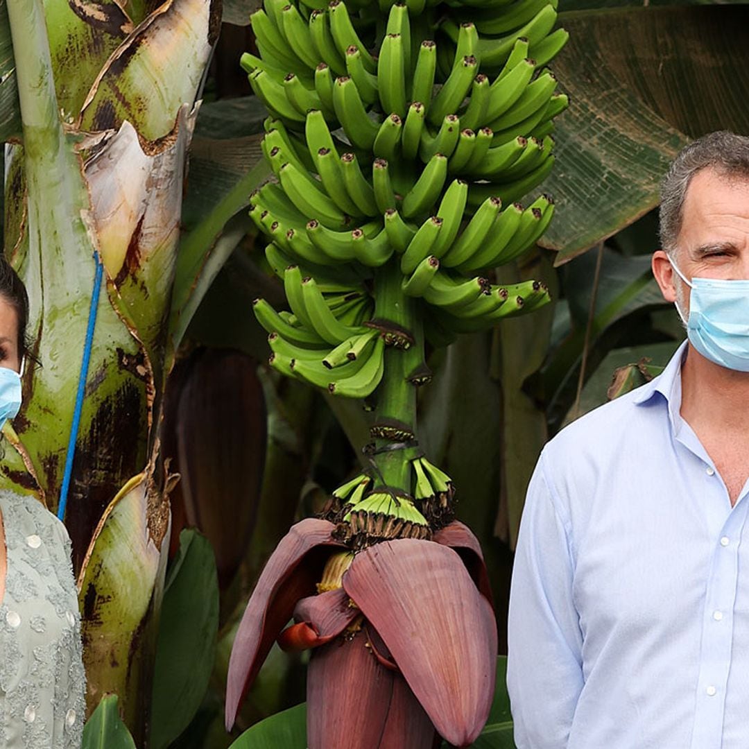 Don Felipe y doña Letizia, entre plataneras: la escena más tropical en su visita a Tenerife