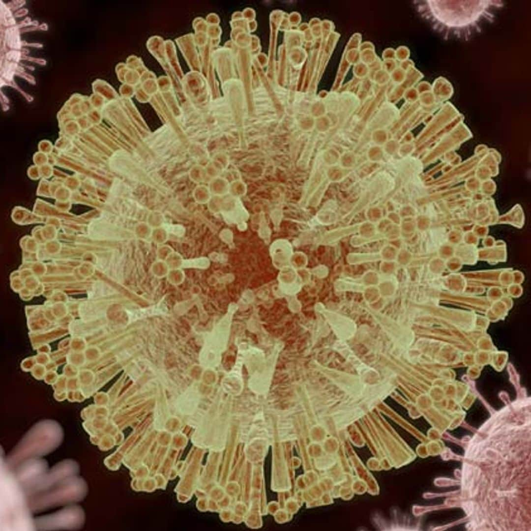 Todo lo que tienes que saber sobre el virus Zika