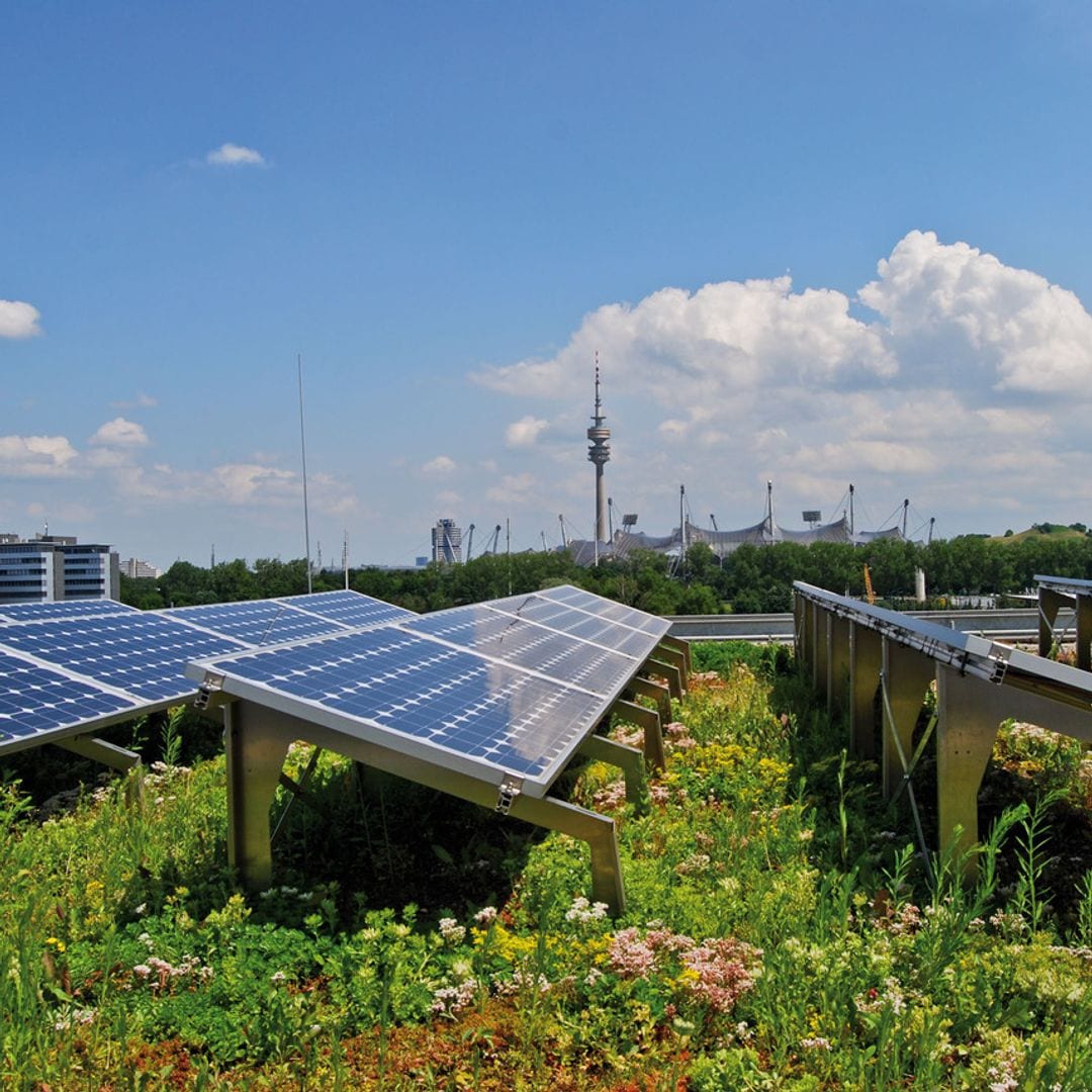 Cubiertas biosolares: cuando la naturaleza y la tecnología convergen para un futuro sostenible