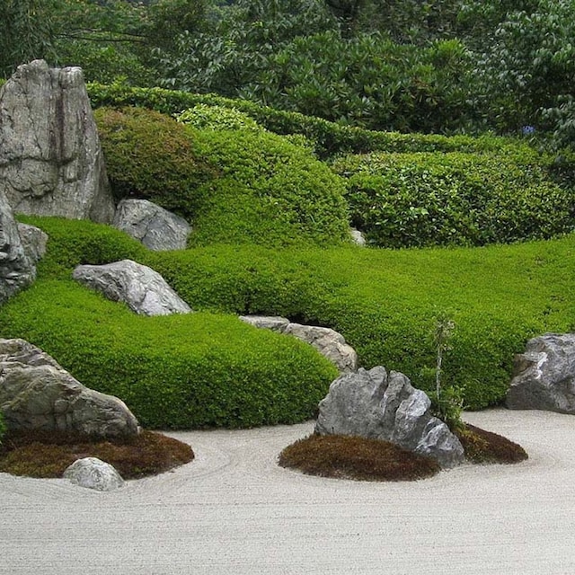 jardin zen