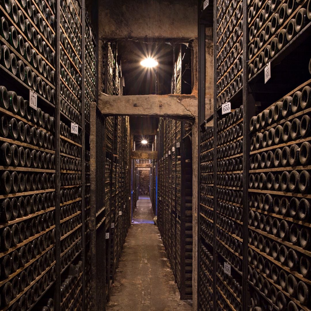 Bodega Marqués de Riscal, Elciego, Álava