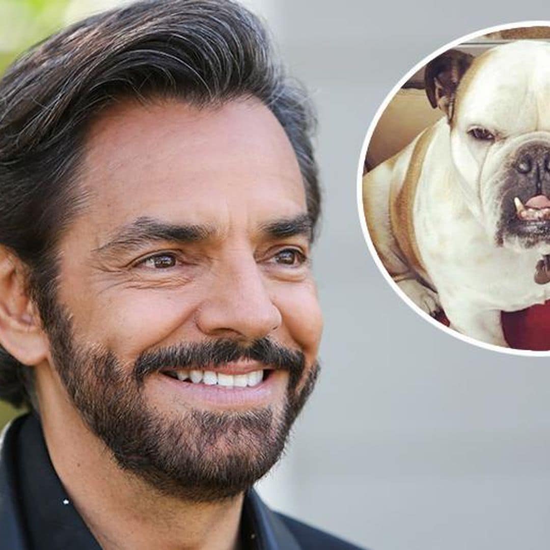 Eugenio Derbez revela que su perrita se enfermó porque lo extraña