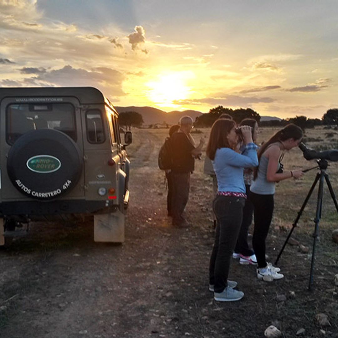 Con los niños por el Serengeti manchego