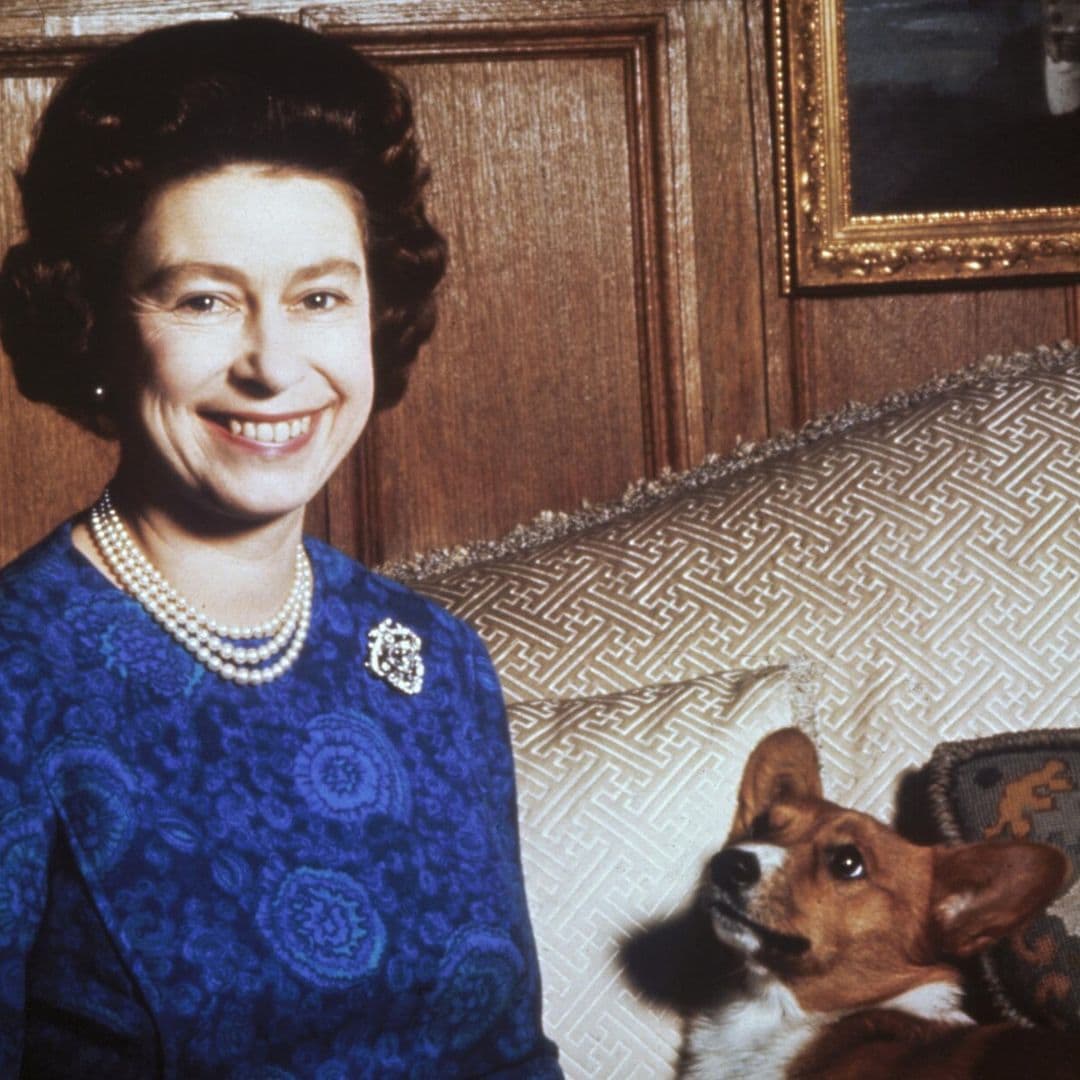 queen elizabeth s corgis have a new home find out who is taking the royal pups