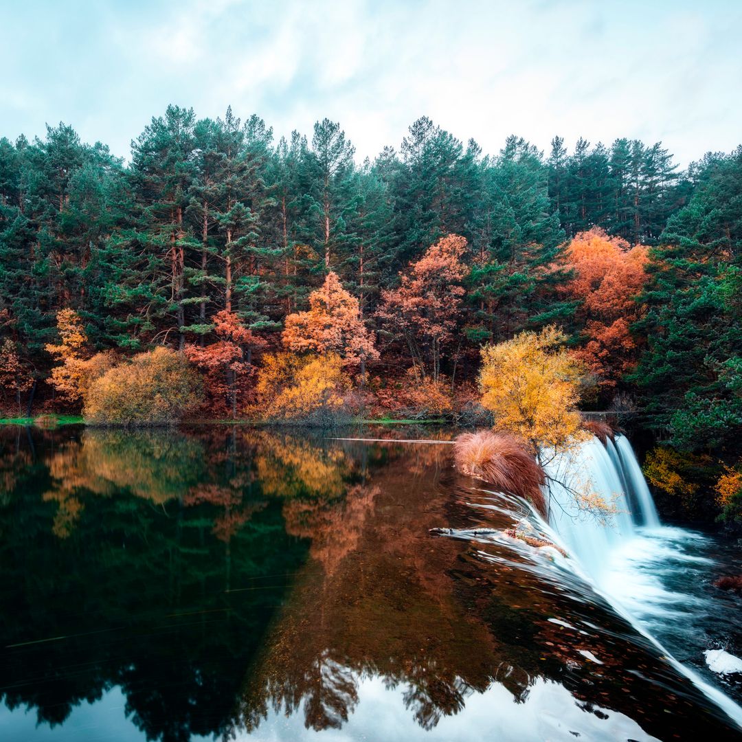 Bosque de otoño junto a la presa del Pradillo en Rascafría, Madrid