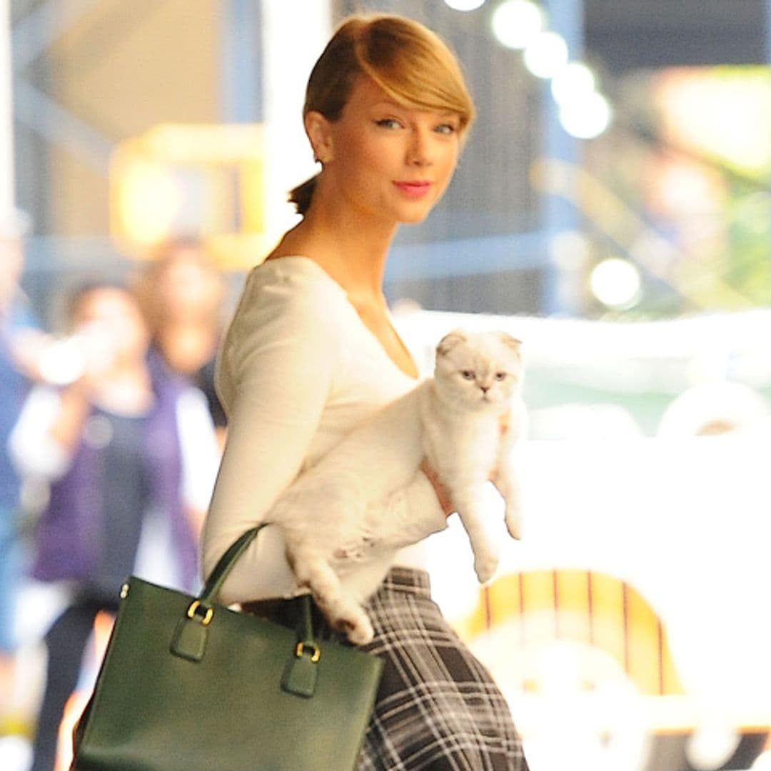 Taylor Swift y los nuevos 'must-have' para los amantes de los gatos