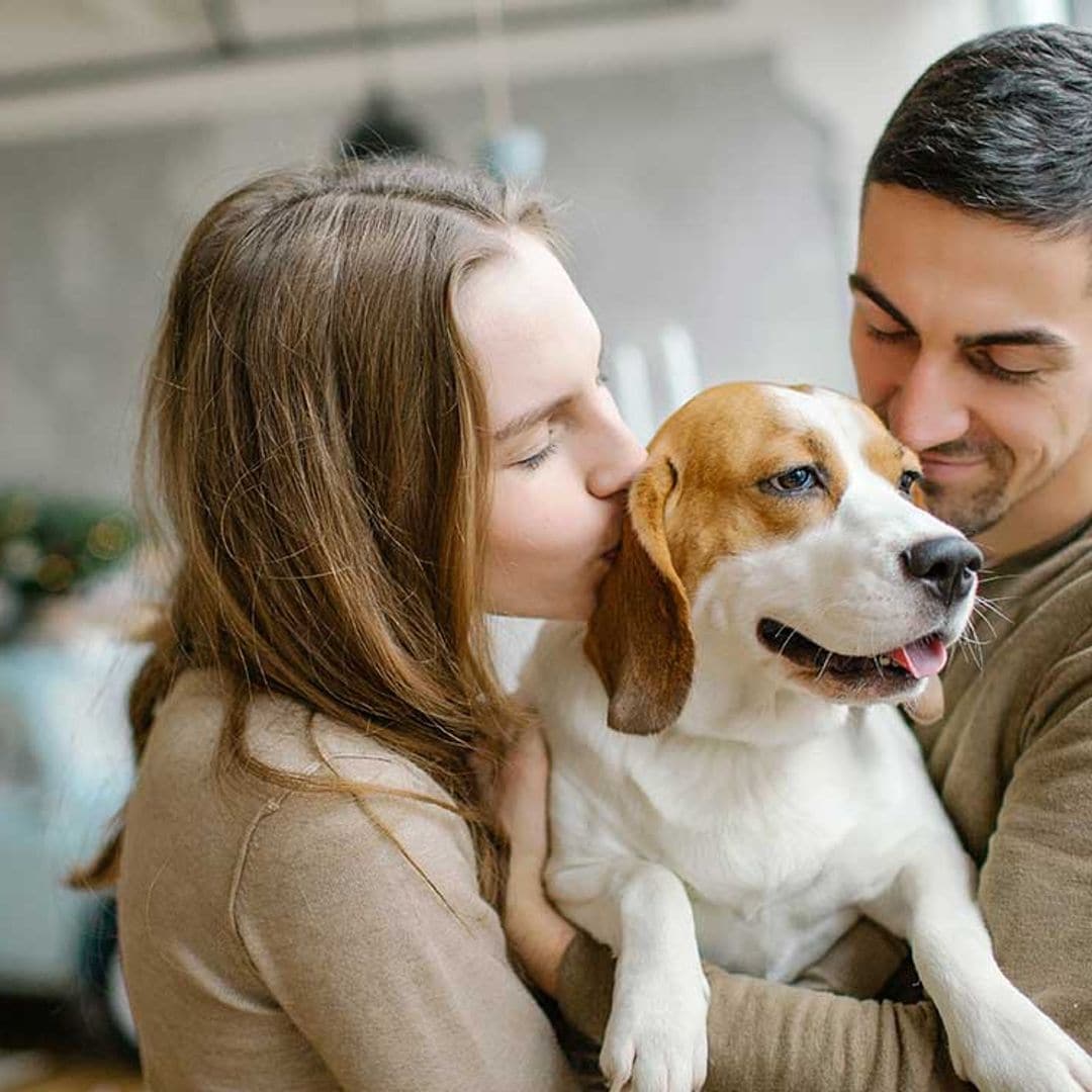 Por qué tener una mascota ayuda a reforzar los lazos con la pareja