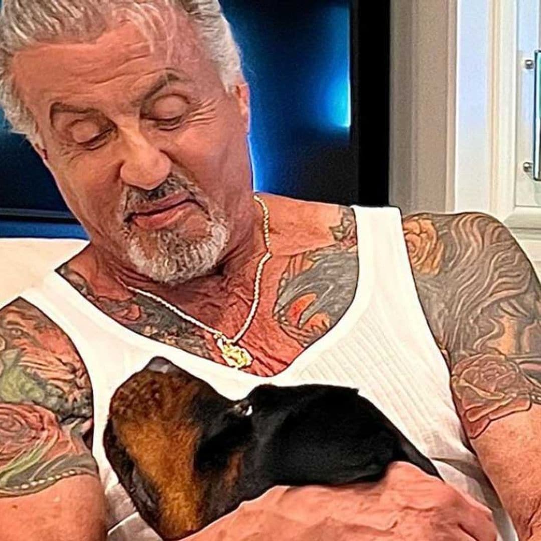 Sylvester Stallone explica el motivo de su divorcio y niega que sea por culpa de un perro