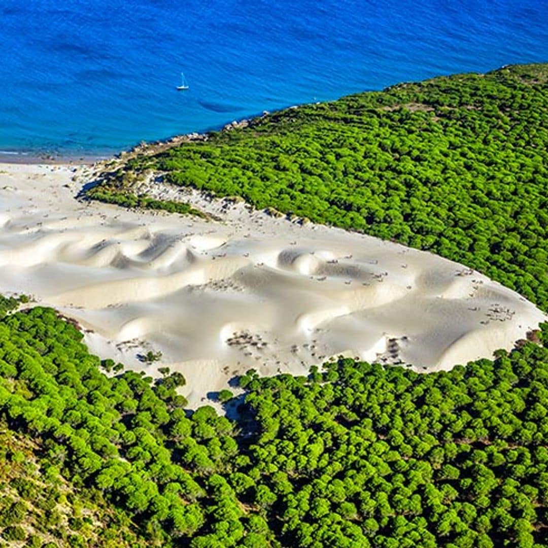 De ruta por la costa gaditana, de Vejer de la Frontera a la playa de Bolonia