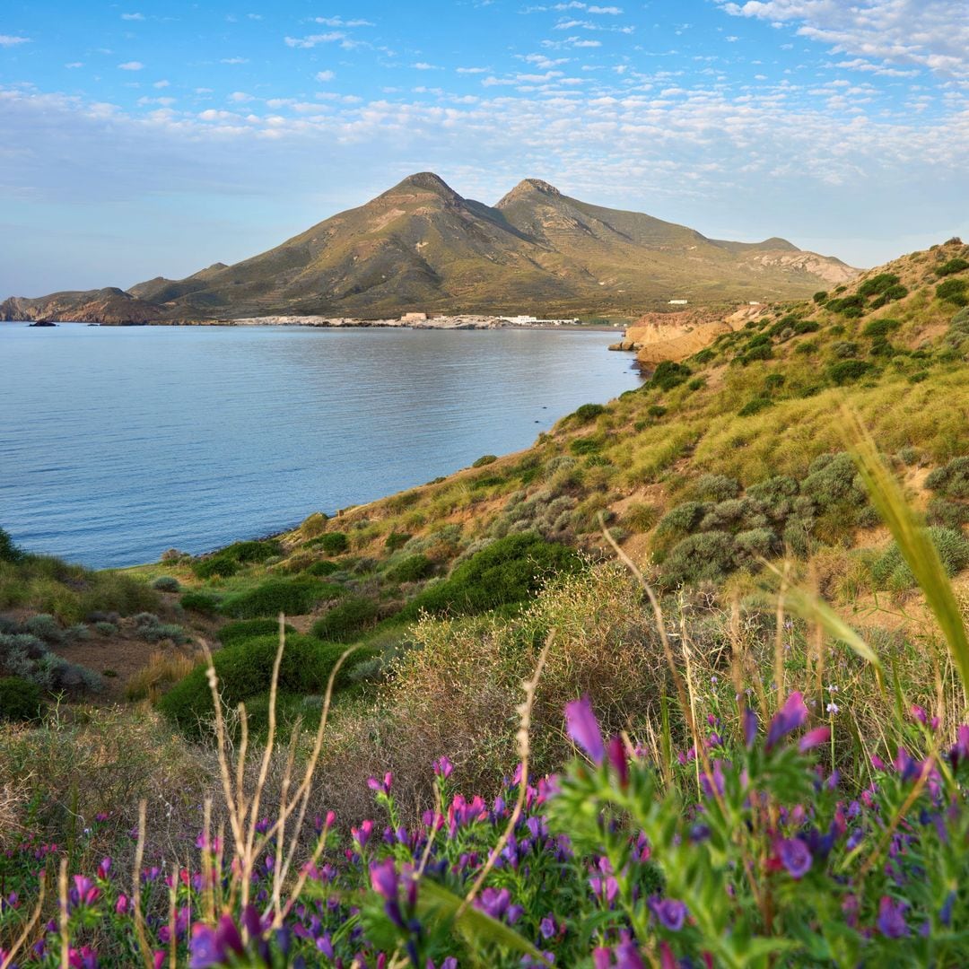 Paisaje de Cabo de Gata, Los Escullos, Almería