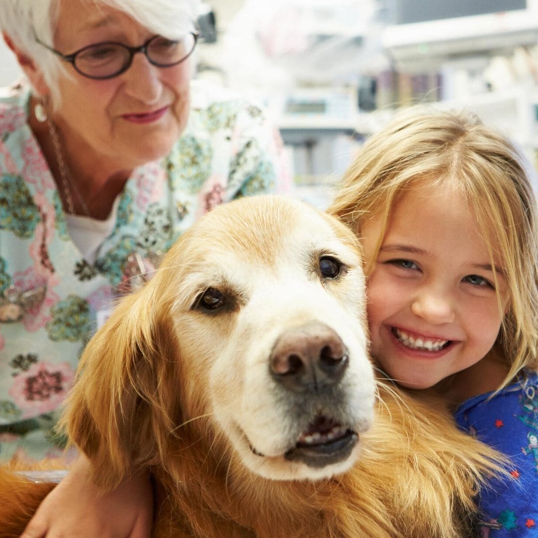 Los perros, ¡una de las mejores terapias pediátricas!