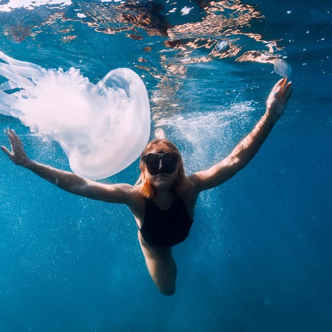 Así puedes escapar de las medusas este verano