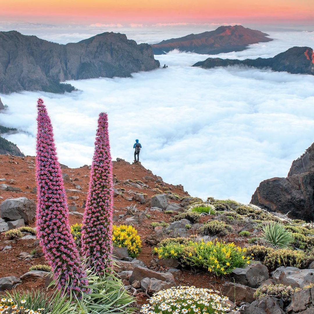 Caldera de Taburiente (La Palma): maravilla universal