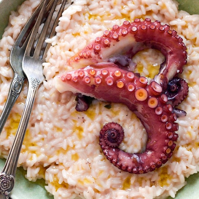 risotto pulpo age