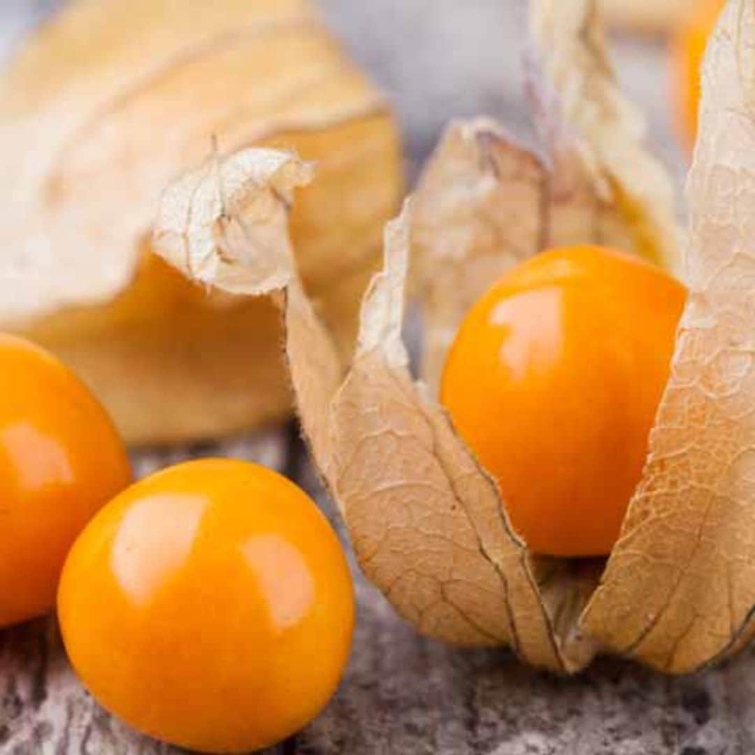 Physalis, alquequenje, uvilla... ¿sabes de qué se trata?