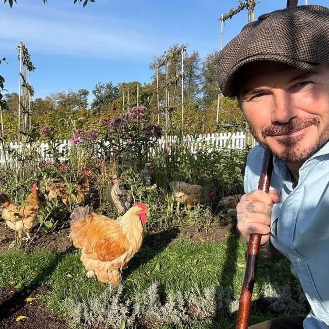 Entre huertos y gallinas, David Beckham presume su tranquila vida de campo