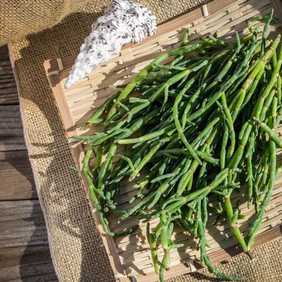 Salicornia: la verdura sostenible que crece en el desierto y en las costas