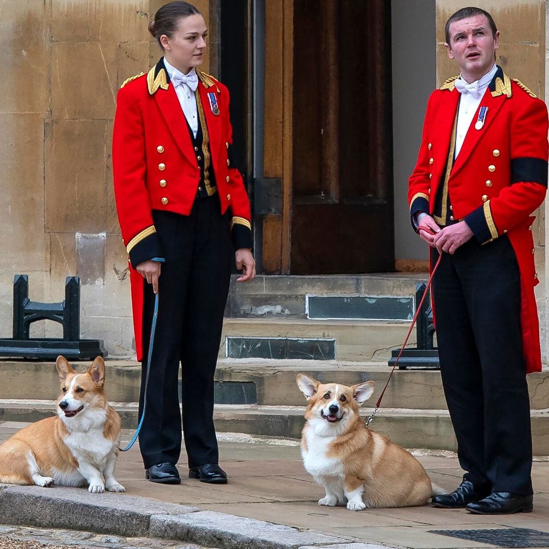 Estas son las estrictas instrucciones que dejó la reina Isabel a su hijo Andrés para el cuidado de sus corgis