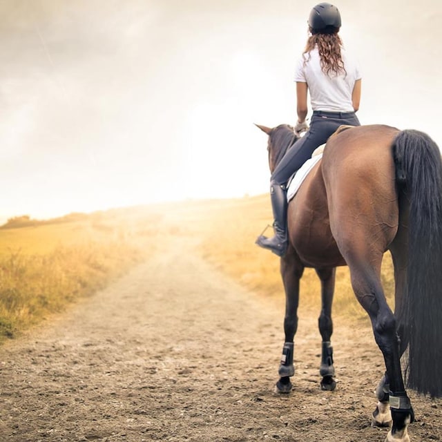 mujer caballo 1t