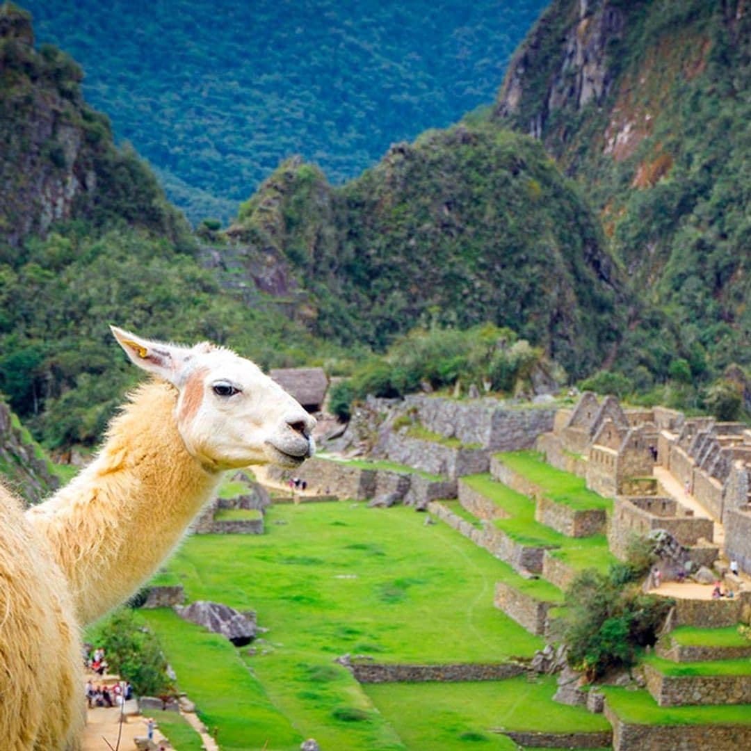 Machu Picchu, Perú