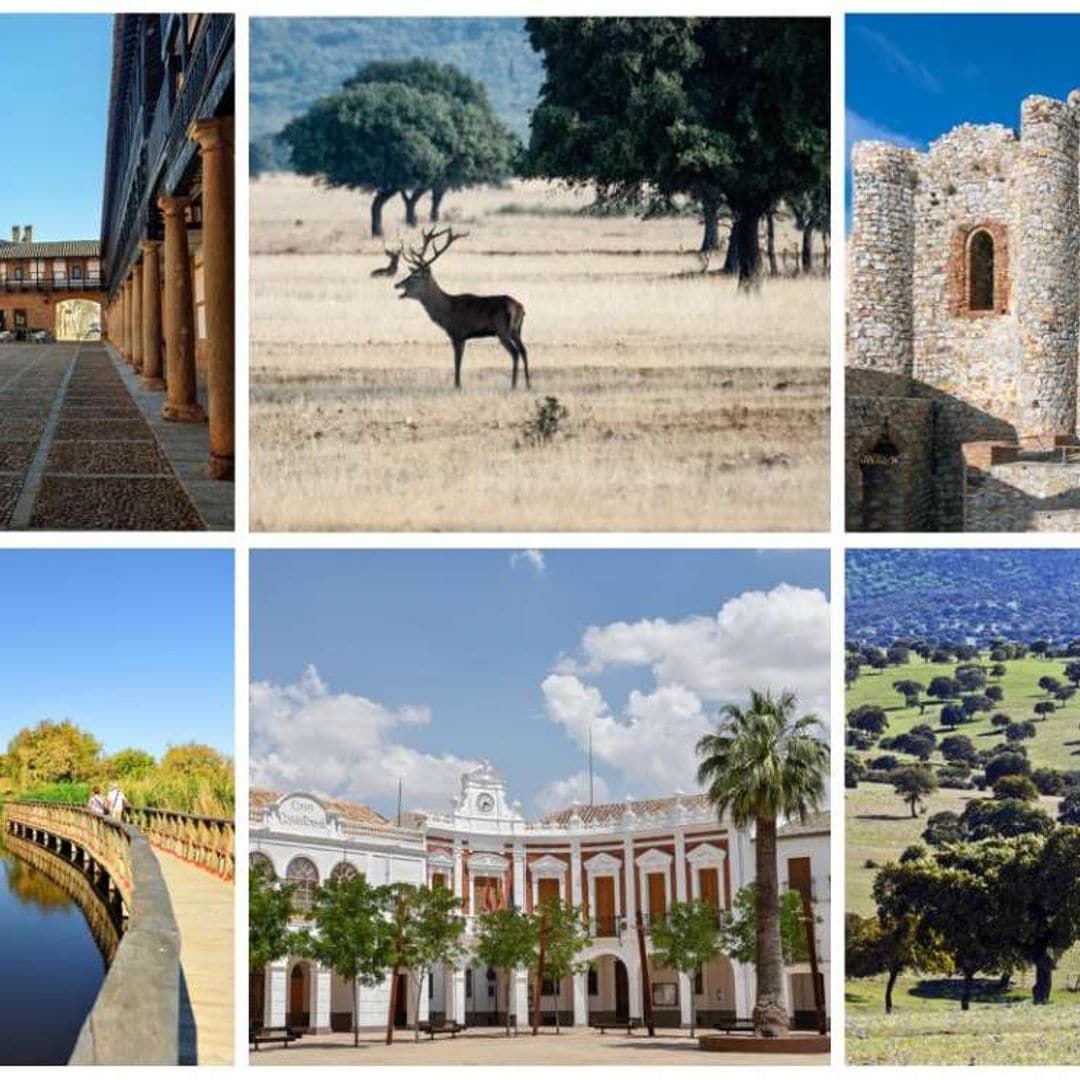 collage ciudad real