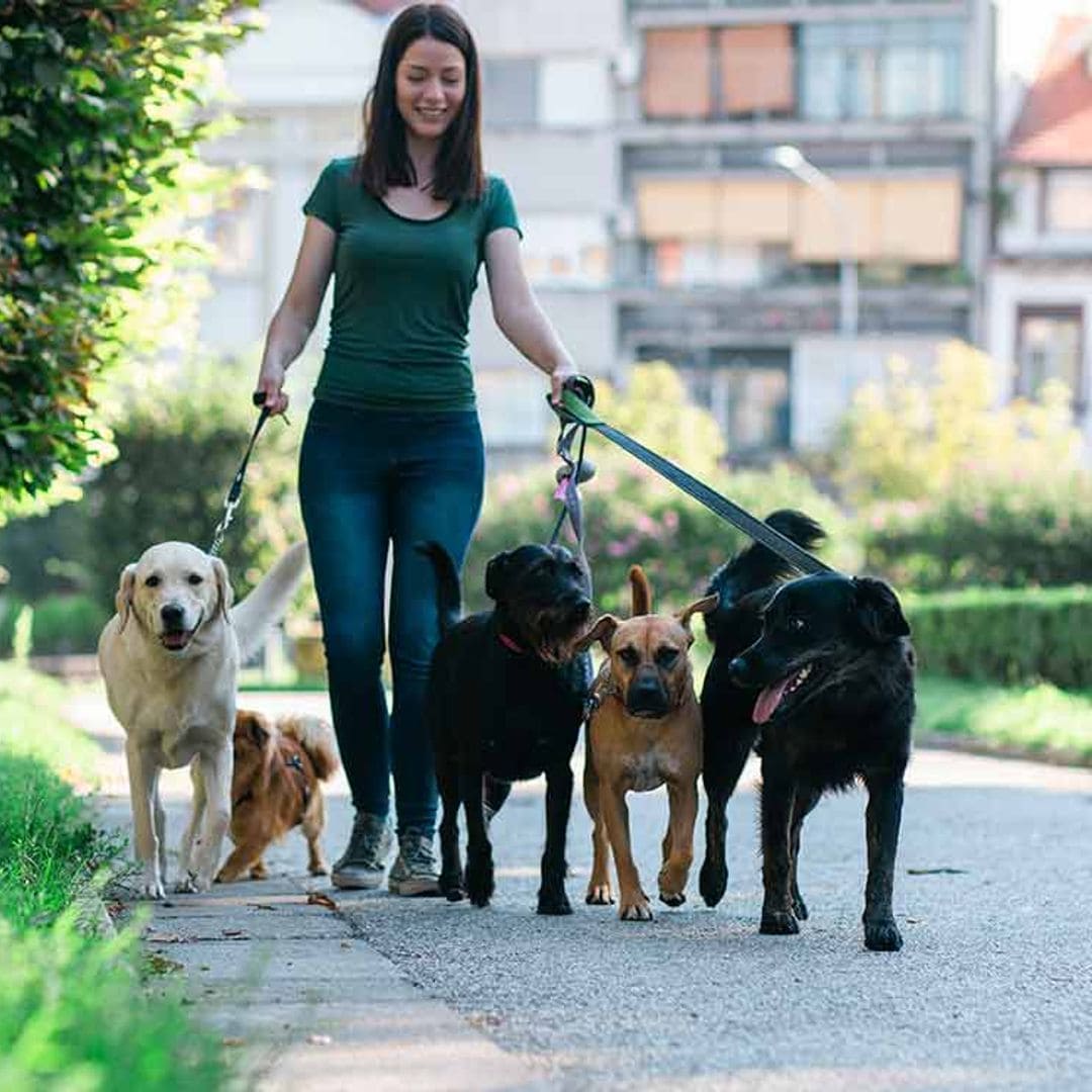 Cosas que te indican que has dado con el paseador perfecto para tu perro