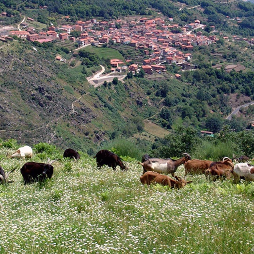 Un paseo por los pueblos más bonitos de La Vera