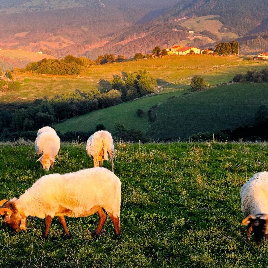 Comarca del Goierri: de ruta por las ‘Highlands’ vascas